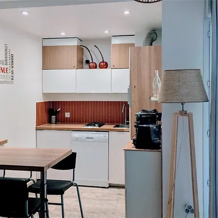 Apartament F2 Garage Box Wifi Terasse Clim Gare Fac Eco Richter